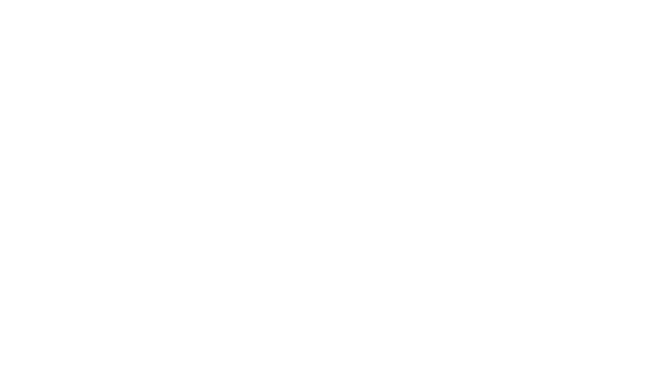 logo partido novo – 1-small